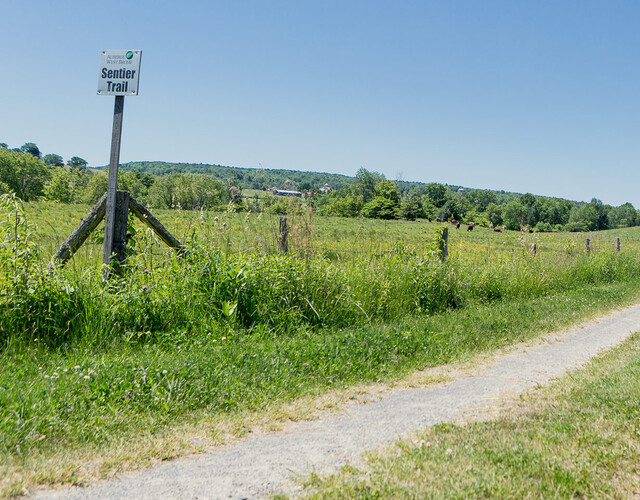 Hiking trails on site